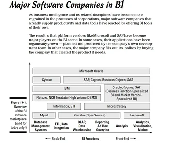 Principales compañías Business Intelligence en el 2007
